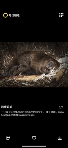 每日精選app綠色版