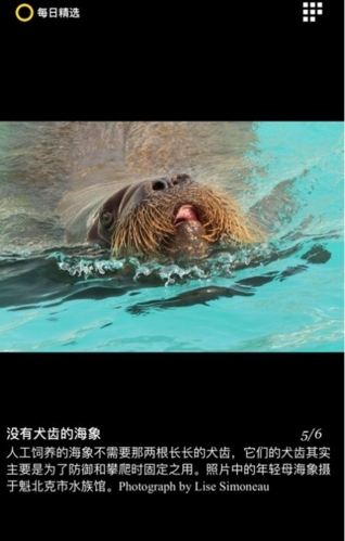 每日精選app綠色版