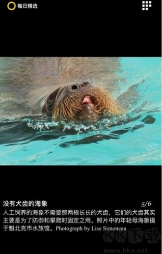 每日精選app綠色版