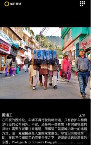 每日精選app綠色版