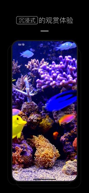 粉紅色美學(xué)壁紙軟件(VA Pink Aesthetic Wallpaper)