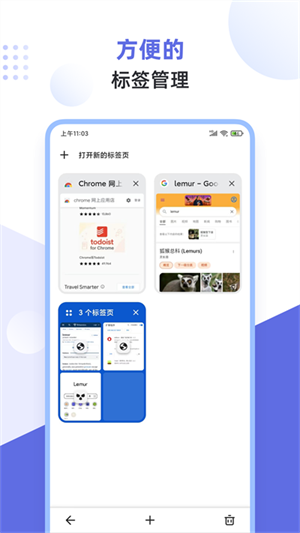 狐猴瀏覽器app手機(jī)版