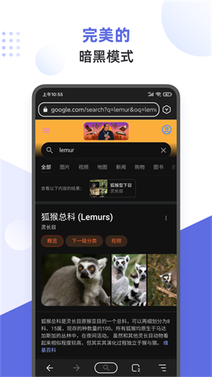 狐猴瀏覽器app手機(jī)版