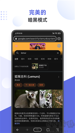 狐猴瀏覽器app手機(jī)版