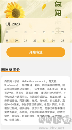 向陽流量app