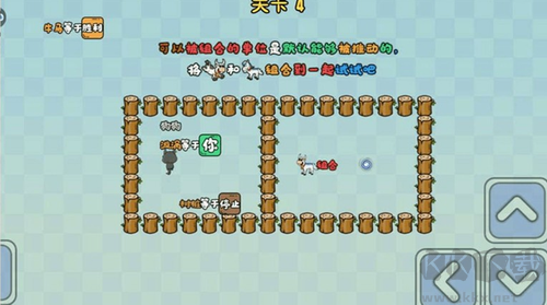 這也能行最新版