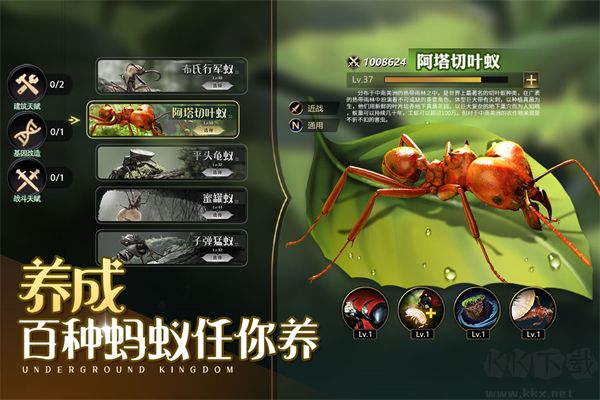 小小蟻國(guó)內(nèi)置菜單版