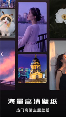 螢火蟲壁紙app最新版