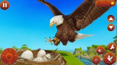 野鳥生活模擬器正式版