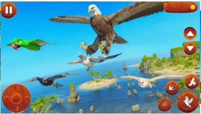 野鳥生活模擬器正式版