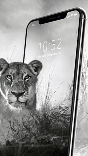 4d動態(tài)壁紙app高清版