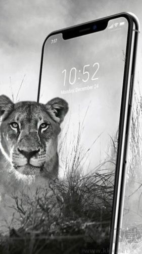 4d動態(tài)壁紙app高清版