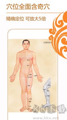 中醫(yī)穴位針灸按摩最新版