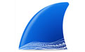 wireshark（網(wǎng)絡抓包工具） v4.2.5