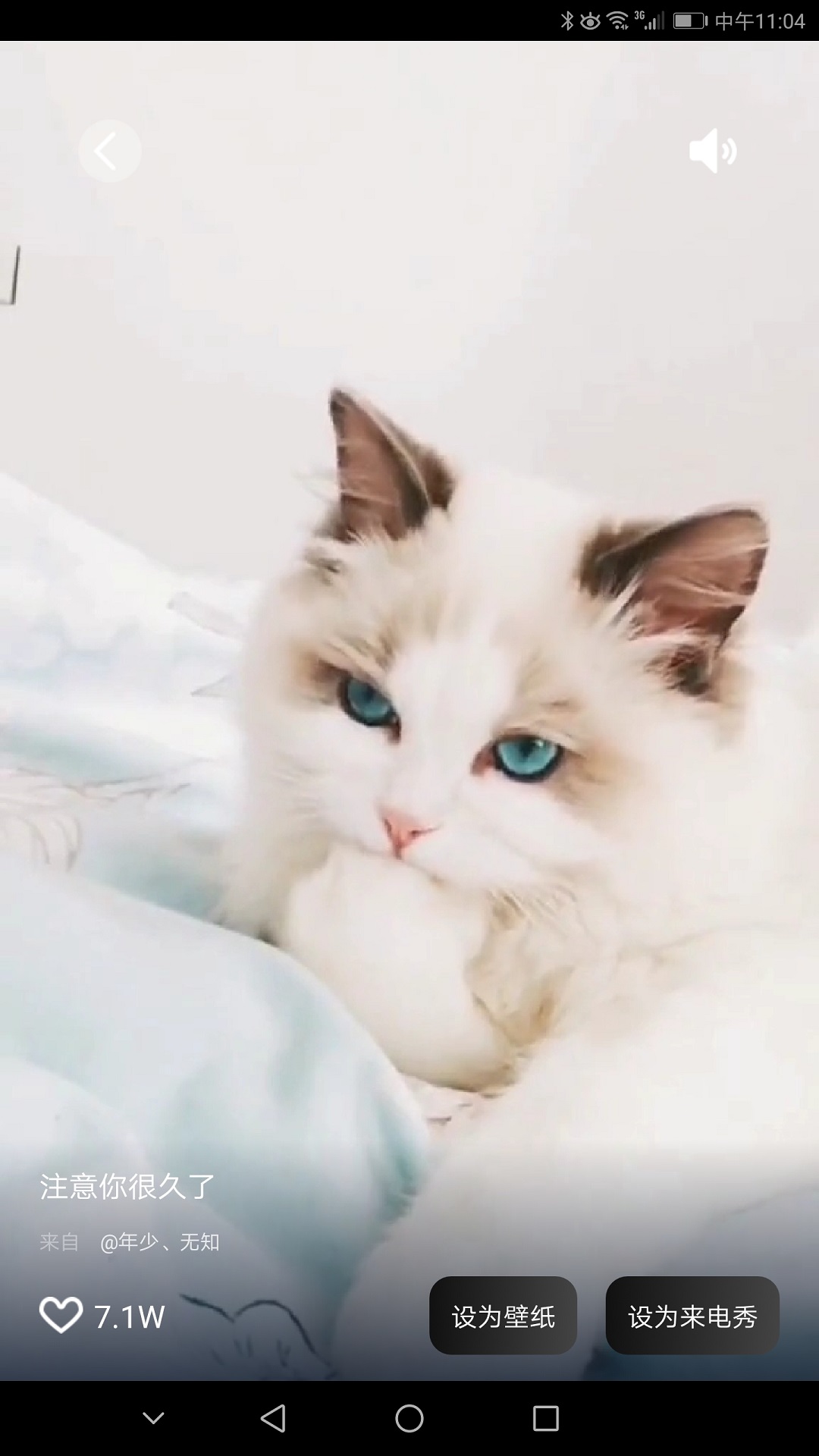 魔幻壁紙app高清版