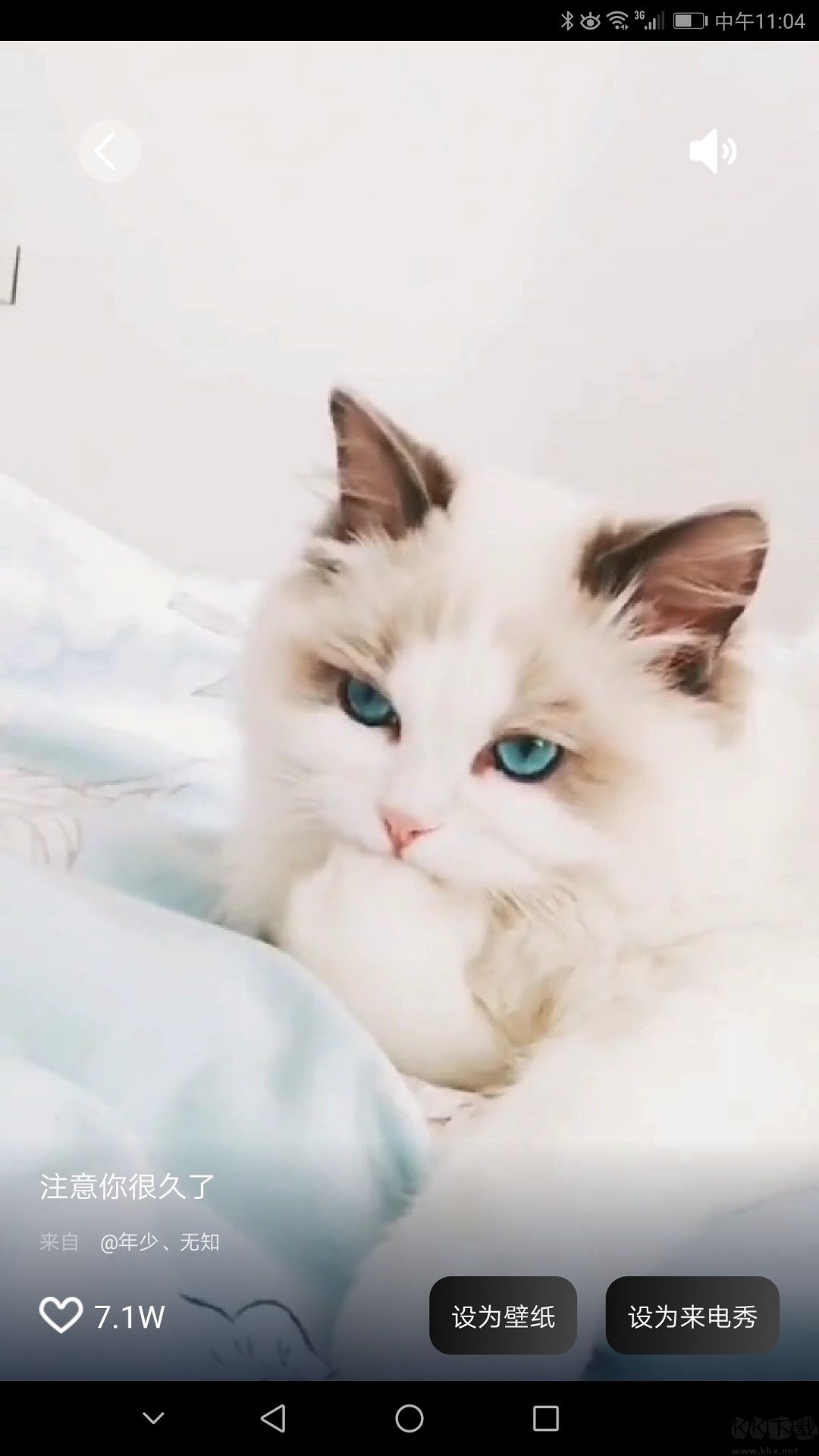 魔幻壁紙app高清版