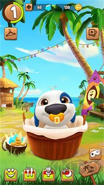 我的漢克狗海島新官網(wǎng)版