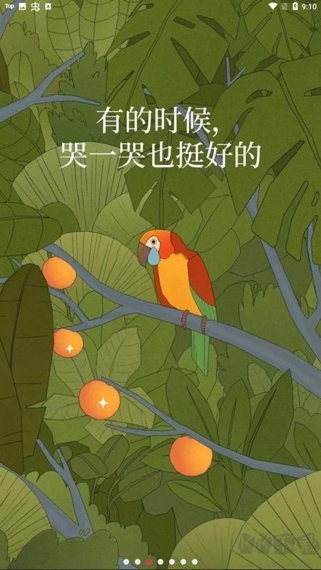 孤獨(dú)的鳥兒中文版