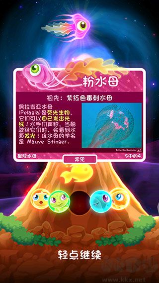 罕見魚攻略5