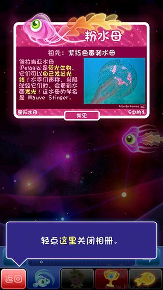 罕見魚攻略7