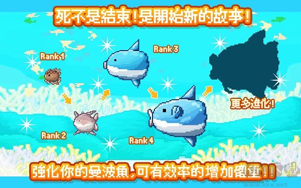 活下去曼波魚漢化版