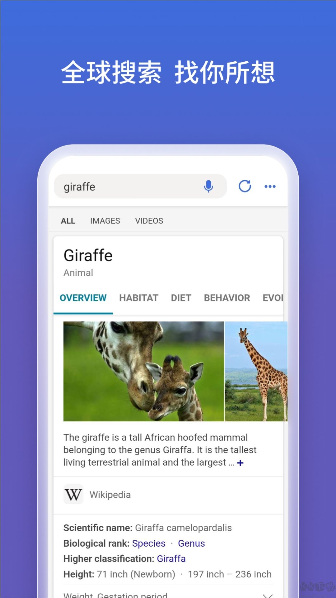微軟必應(yīng)2025