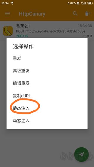 HttpCanary黃鳥抓包