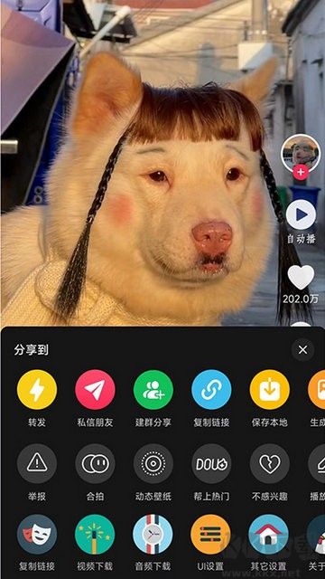 逗音小能手最新版