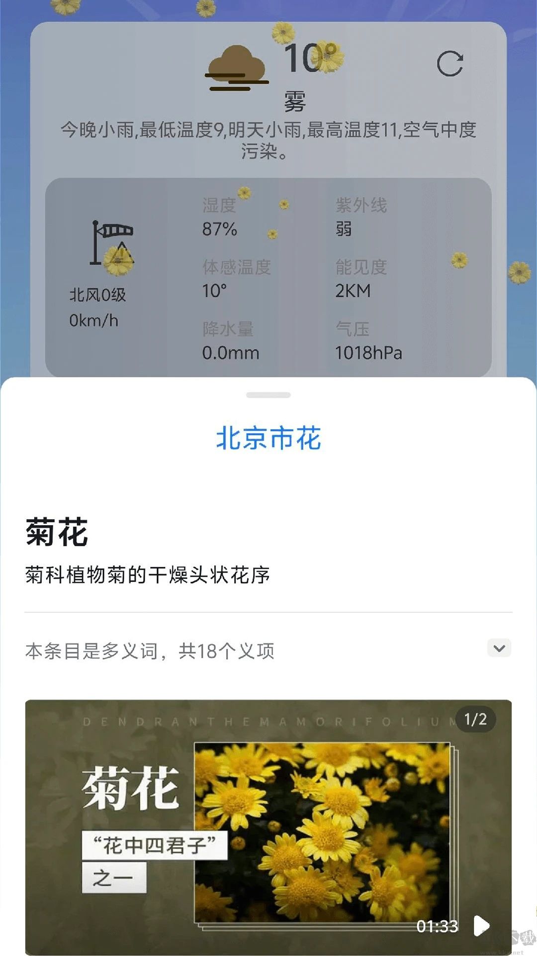 繁花天氣預(yù)報最新版