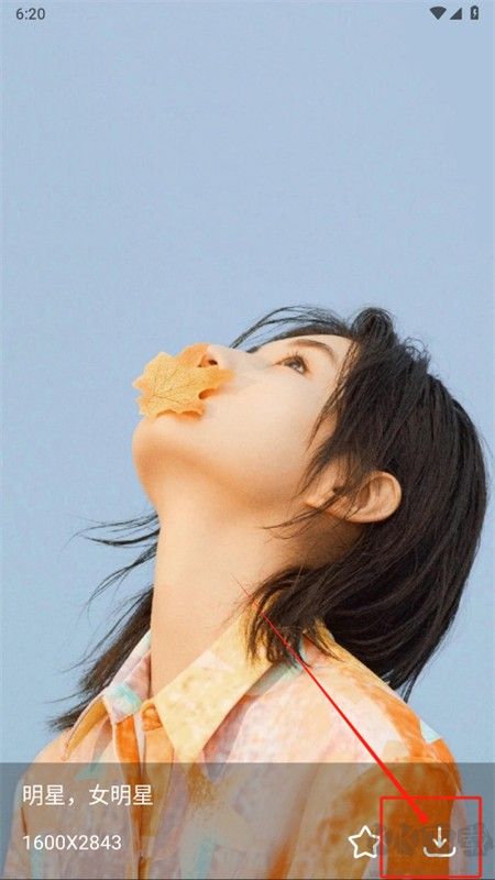 Guge搜圖app官方手機(jī)版 Guge搜圖app官方手機(jī)版
