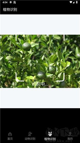 動(dòng)物百科軟件