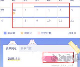 棉棉月歷安卓版