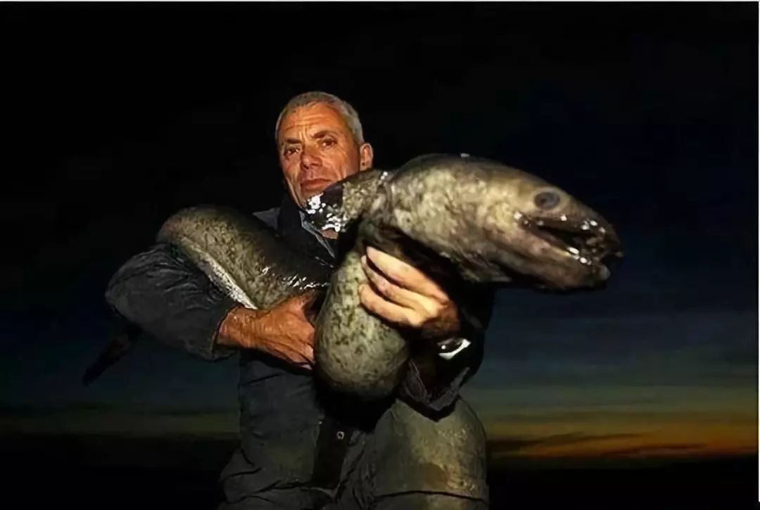 2025釣魚(yú)游戲排行-2025好玩的釣魚(yú)游戲-2025真實(shí)的釣魚(yú)游戲
