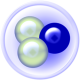 DC++ v0.88.2正版