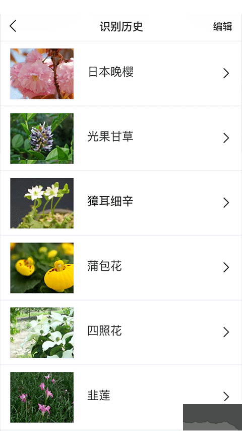 識(shí)花APP