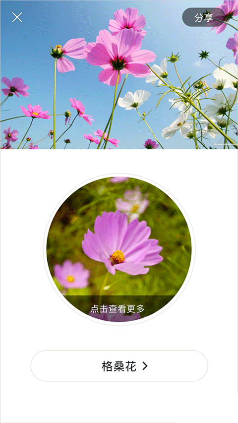 識(shí)花APP