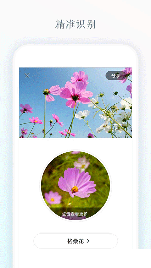 識(shí)花app