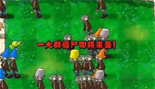 植物大戰(zhàn)僵尸指導(dǎo)版