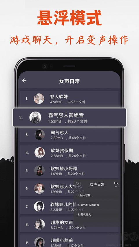 專(zhuān)業(yè)變聲器