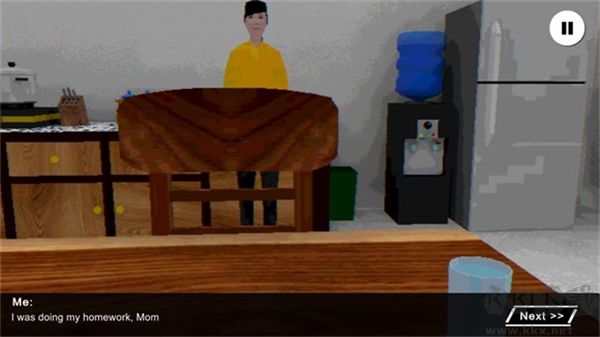 皮卡布寧靜的夜晚正版
