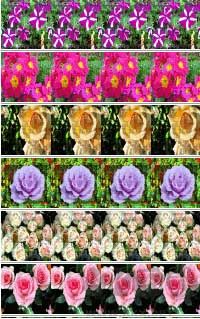 visipics