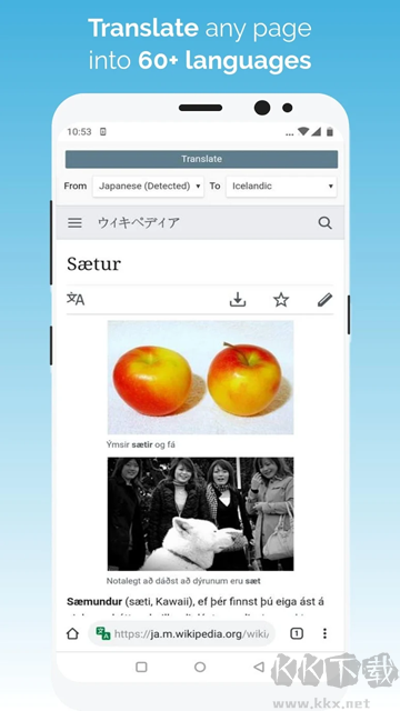 Kiwi Browser瀏覽器app