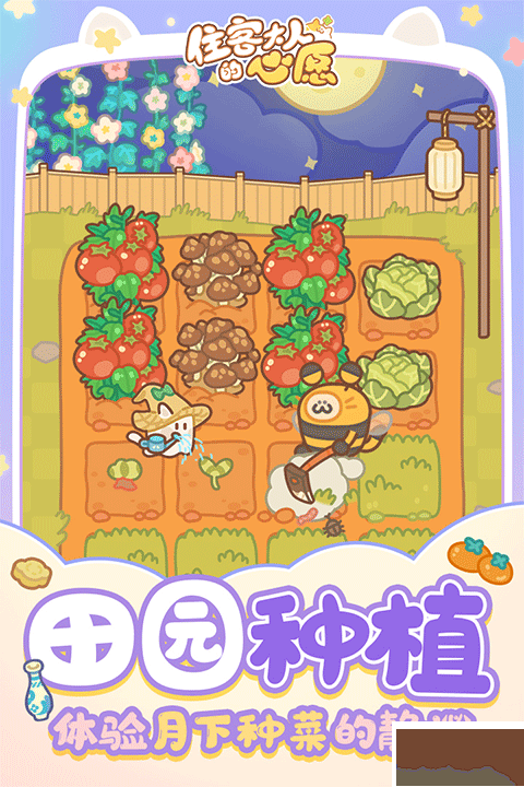 住客大人的心愿手機版