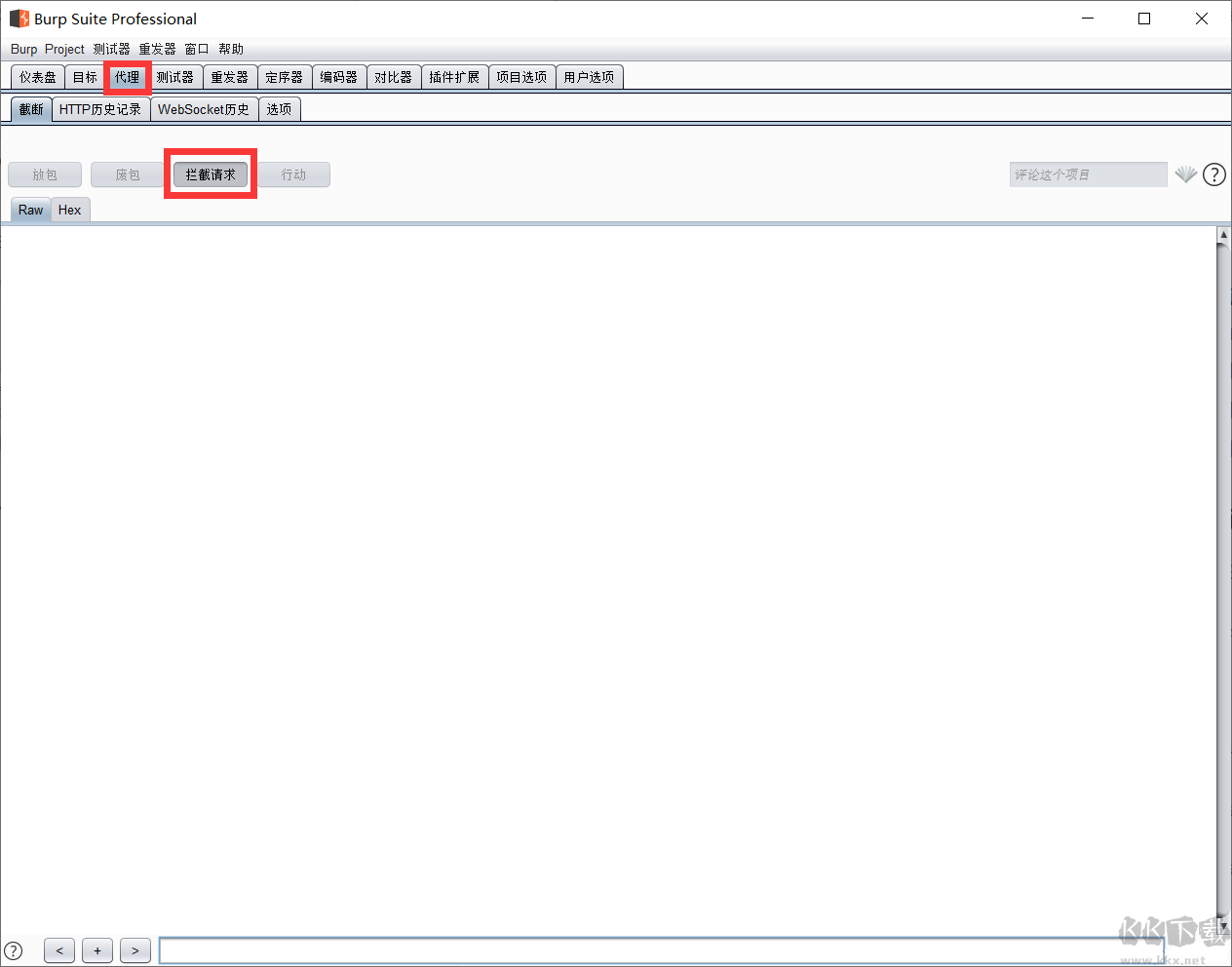 burp suite professional 2024