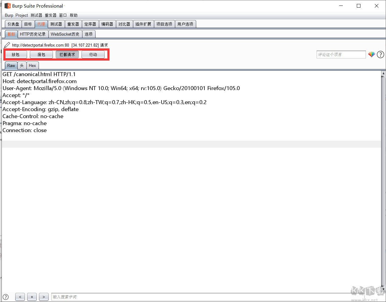 burp suite professional 2024