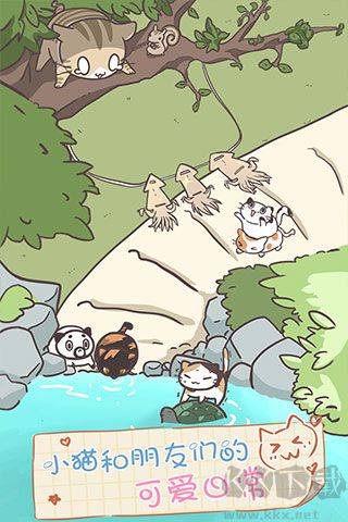 貓咪飼養(yǎng)日常