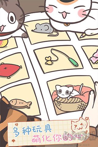 貓咪飼養(yǎng)日常