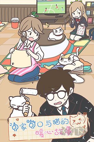 貓咪飼養(yǎng)日常