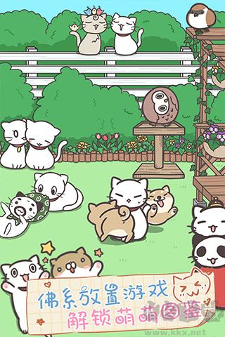 貓咪飼養(yǎng)日常