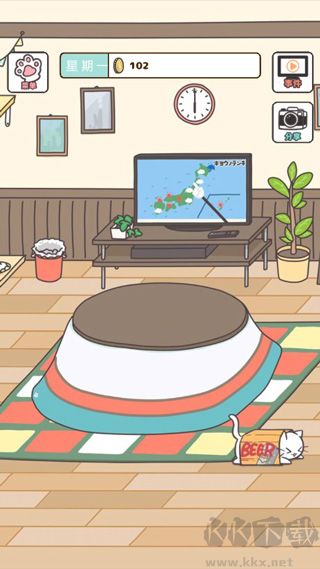 貓咪飼養(yǎng)日常